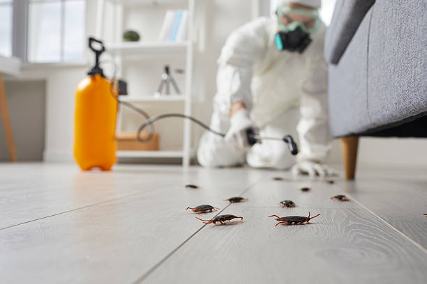 Commercial Kitchen Cockroach Control in Ocklawaha